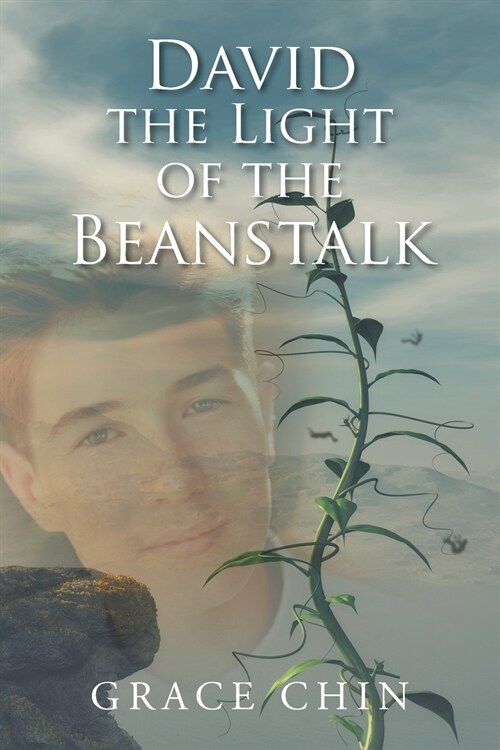 David the Light of the Beanstalk (Paperback)