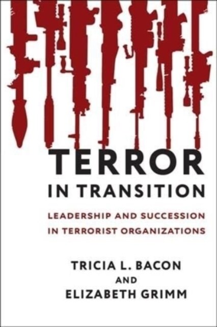 Terror in Transition: Leadership and Succession in Terrorist Organizations (Paperback)