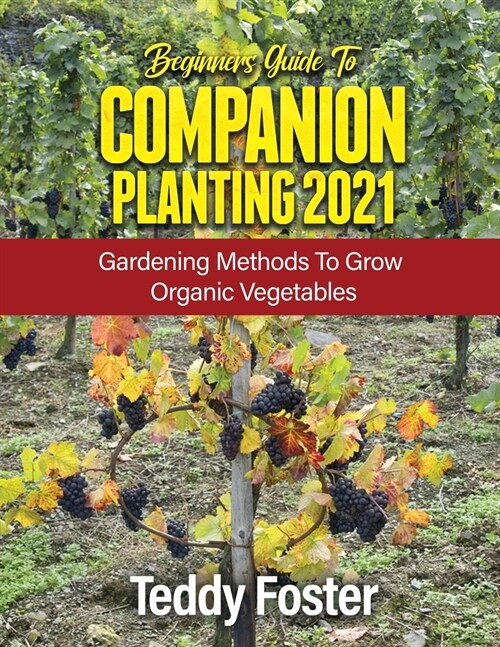 Beginners Guide to Companion Planting 2021: Gardening Methods to Grow Organic Vegetables (Paperback)