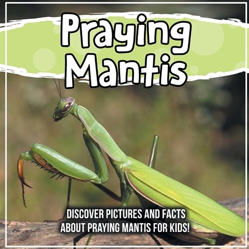 Praying Mantis: Discover Pictures and Facts About Praying Mantis For Kids! (Paperback)