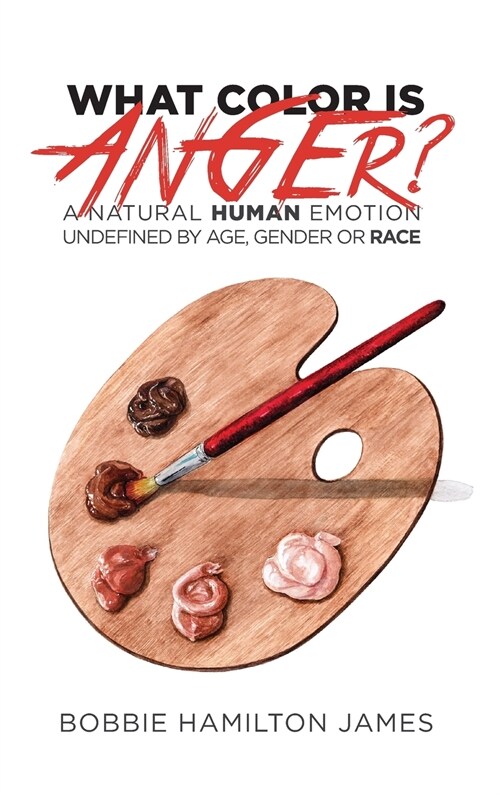 What Color Is Anger (Hardcover)