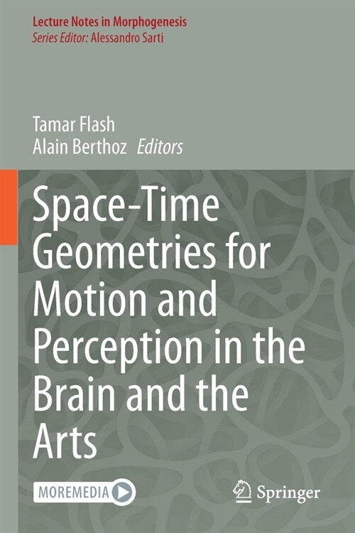Space-Time Geometries for Motion and Perception in the Brain and the Arts (Paperback)
