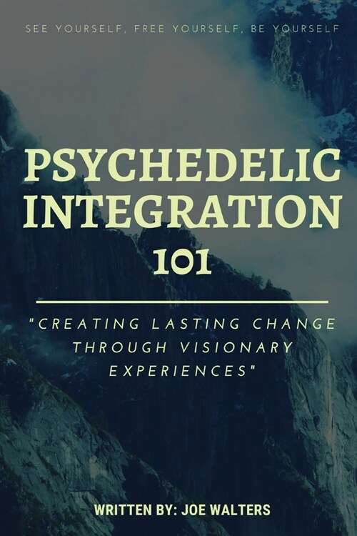 Psychedelic Integration 101: Creating Lasting Change Through Visionary Experiences (Paperback)