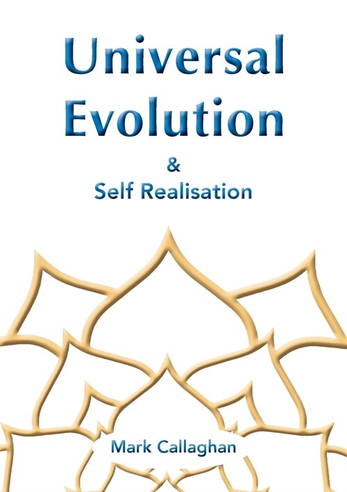 Universal Evolution (Paperback)