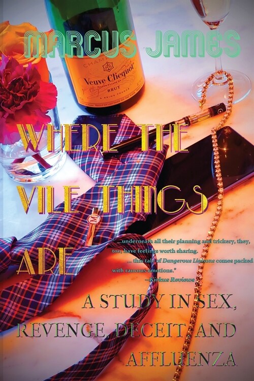 Where the Vile Things Are: A Study in Sex, Revenge, Deceit, and Affluenza (Paperback)