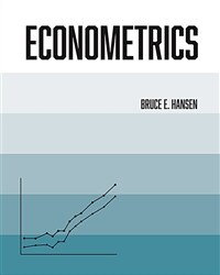 Econometrics (Hardcover)