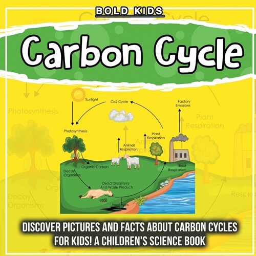 Carbon Cycle: Discover Pictures and Facts About Carbon Cycles For Kids! A Childrens Science Book (Paperback)