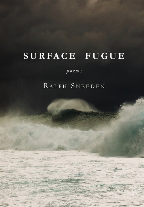 Surface Fugue (Hardcover)