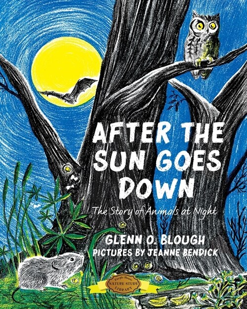 After the Sun Goes Down (Paperback)