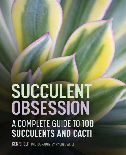 Succulent Obsession: A Complete Guide (Hardcover)