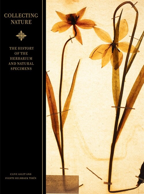 Collecting Nature: The History of the Herbarium and Natural Specimens (Hardcover)