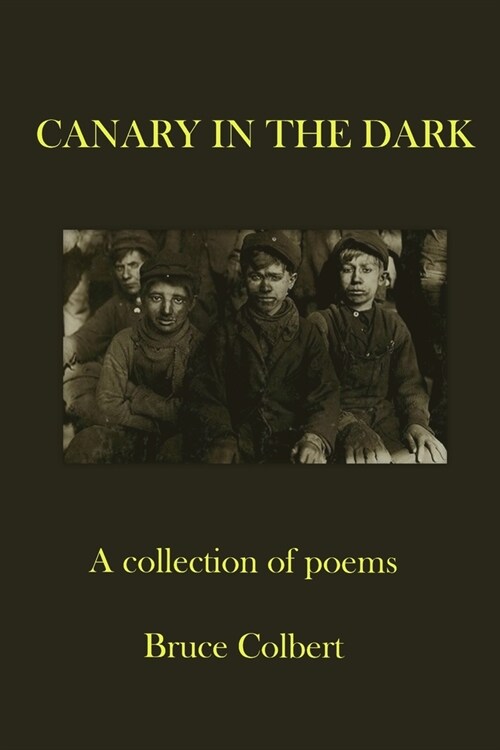 Canary in the Dark (Paperback)