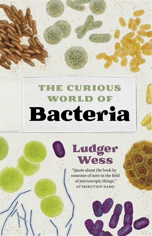 The Curious World of Bacteria (Hardcover)