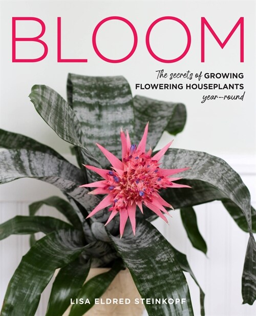 Bloom: The Secrets of Growing Flowering Houseplants Year-Round (Hardcover)