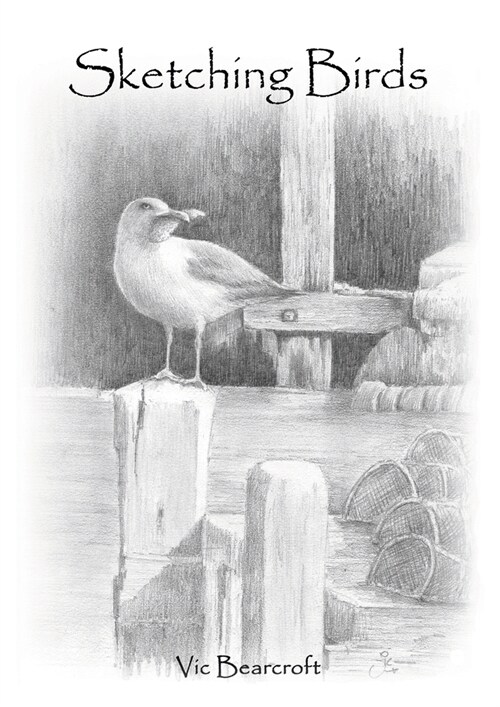 Sketching Birds (Paperback)