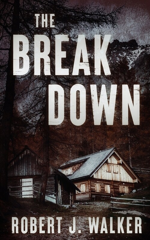 The Break Down (Paperback)