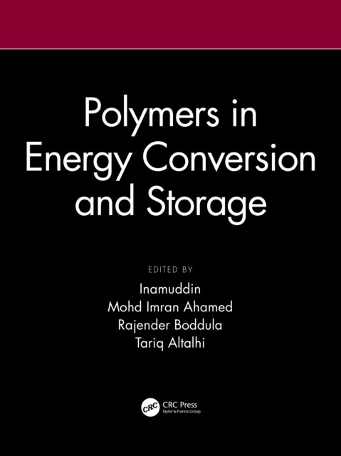 Polymers in Energy Conversion and Storage (Hardcover)