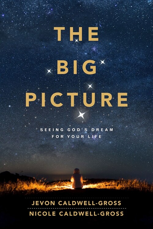 The Big Picture: Seeing Gods Dream for Your Life (Paperback)