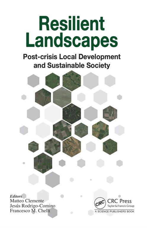 Resilient Landscapes : Post-crisis Local Development and Sustainable Society (Hardcover)