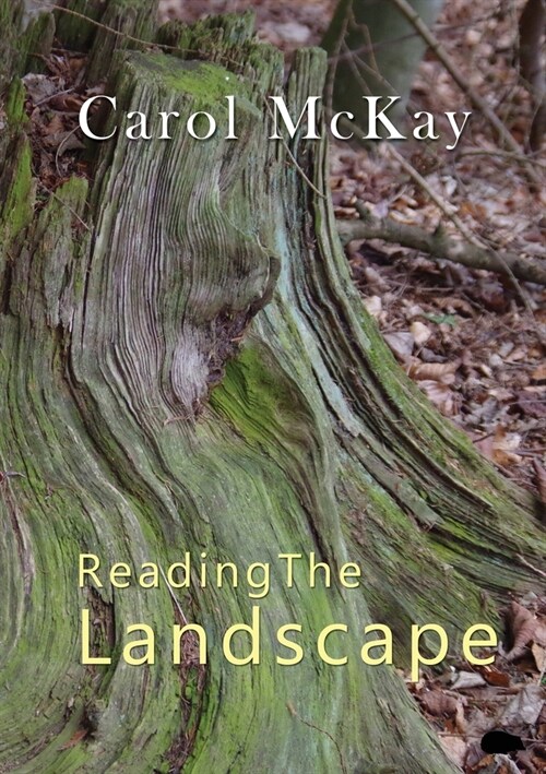 Reading The Landscape (Paperback)