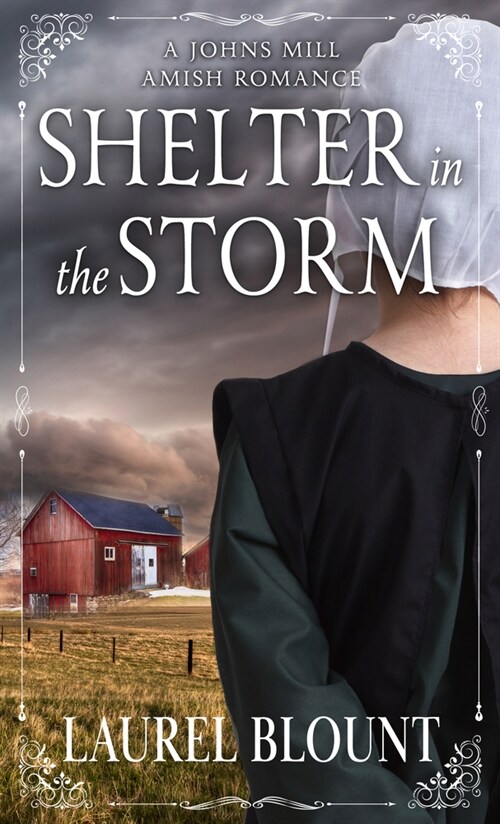 Shelter in the Storm (Library Binding)