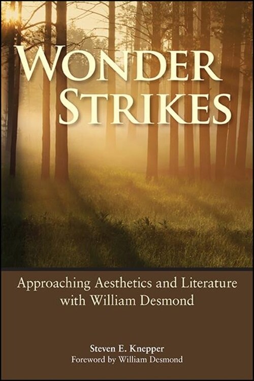 Wonder Strikes: Approaching Aesthetics and Literature with William Desmond (Hardcover)