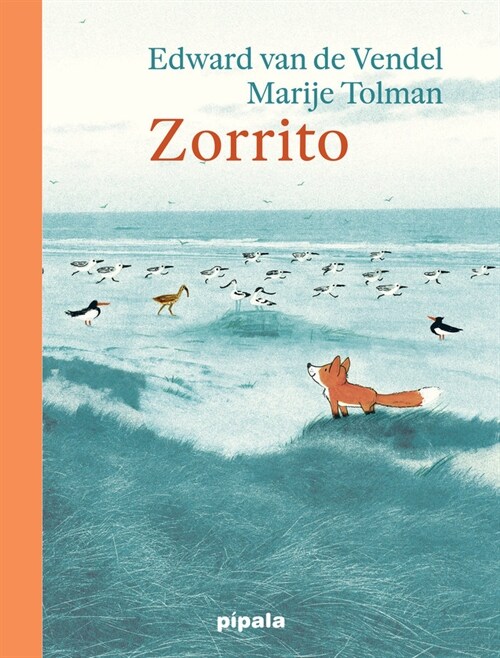 ZORRITO (Paperback)