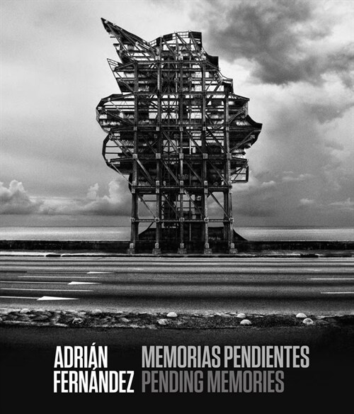 Adri? Fern?dez: Pending Memories (Hardcover)