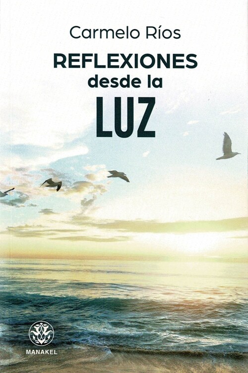 REFLEXIONES DESDE LA LUZ (Paperback)