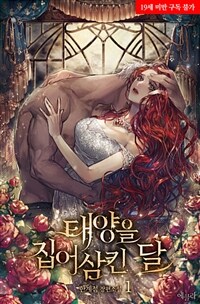 태양을 집어삼킨 달 1