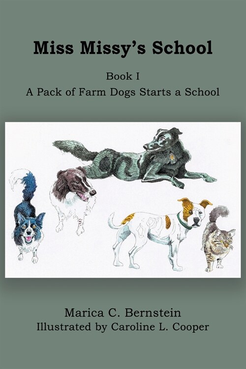 Miss Missys School: Book I: A Pack of Farm Dogs Starts a School (Paperback)