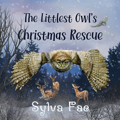 The Littlest Owls Christmas Rescue (Paperback)