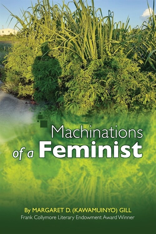 Machinations of a Feminist (Paperback)