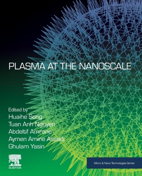 Plasma at the Nanoscale (Paperback)