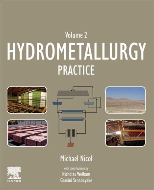 Hydrometallurgy: Practice (Paperback)
