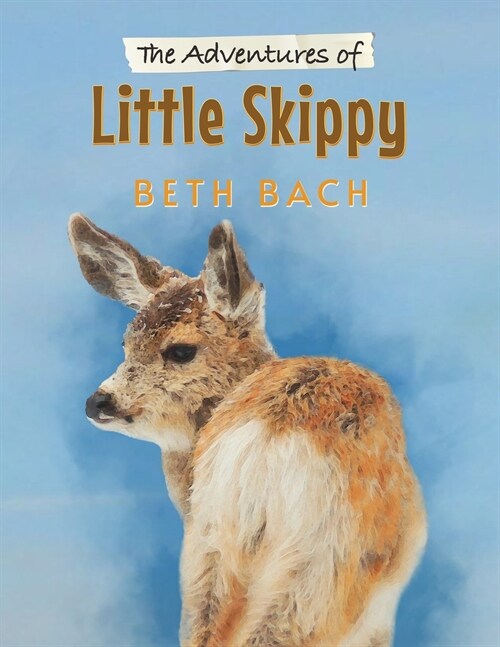 The Adventures of Little Skippy (Paperback)