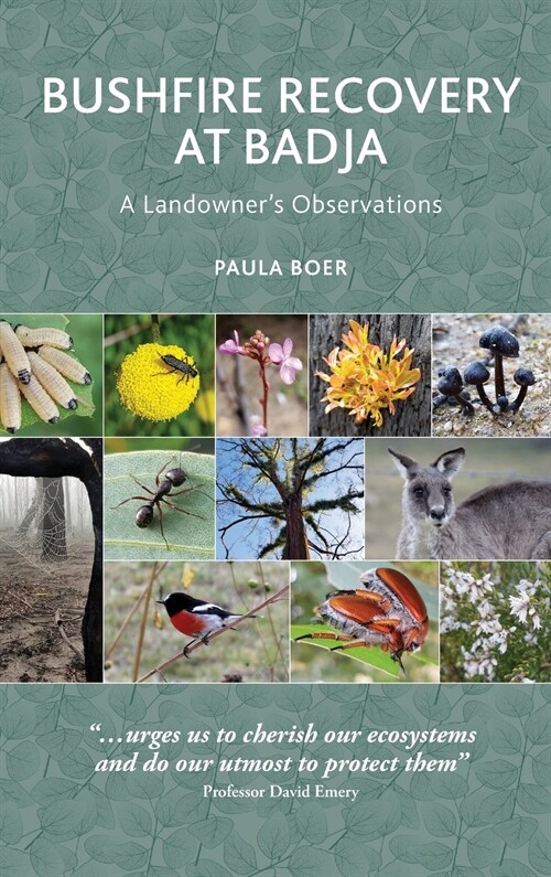 Bushfire Recovery at Badja: A Landowners Observations (Hardcover)