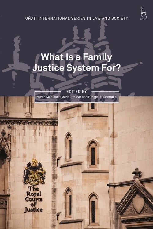 What Is a Family Justice System For? (Hardcover)