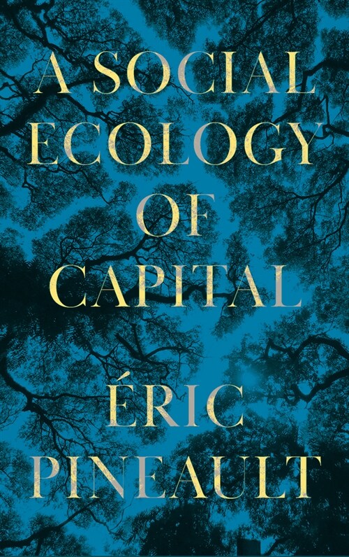 A Social Ecology of Capital (Paperback)
