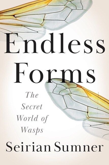 Endless Forms: The Secret World of Wasps (Hardcover)