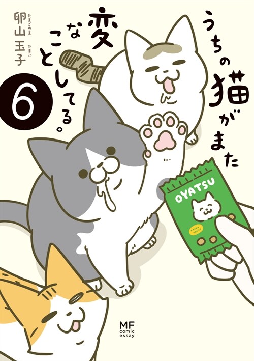 うちの猫がまた變なことしてる。6 (メディアファクトリ-のコミックエッセイ)