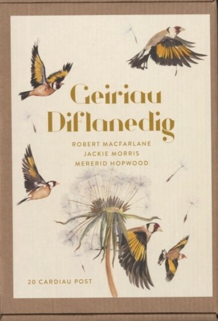 Geiriau Diflanedig (20 Cardiau Post) (Record book)