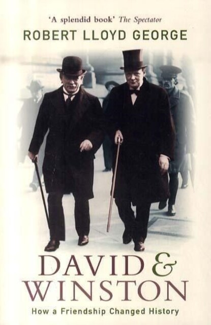 David and Winston : How a Friendship Changed History (Paperback)