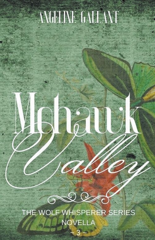 Mohawk Valley (Paperback)