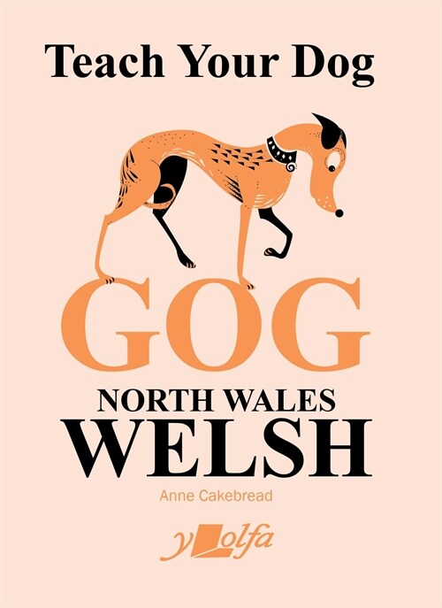 Teach Your Dog Gog : North Wales Welsh (Paperback)