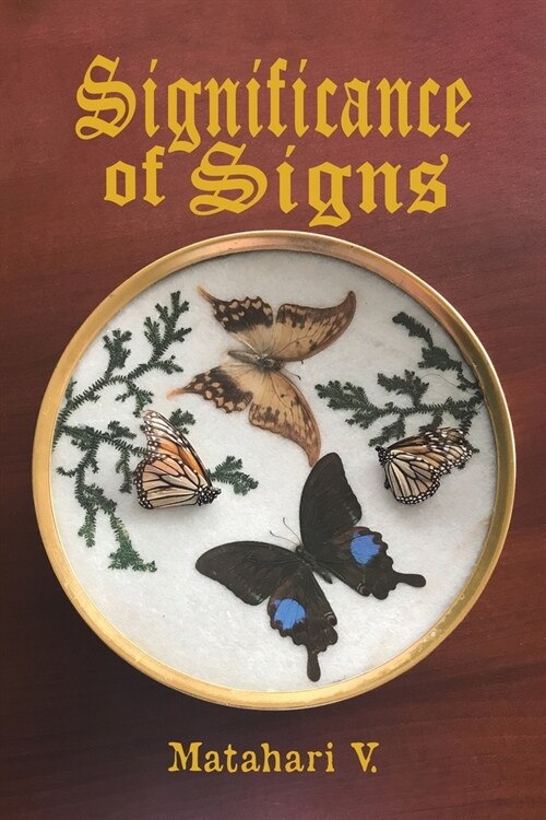 SIGNIFICANCE OF SIGNS (Paperback)