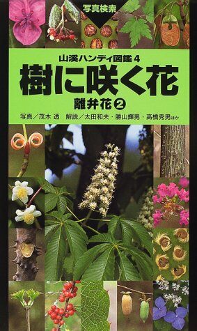 樹に?く花―離弁花〈2〉 (山溪ハンディ圖鑑)