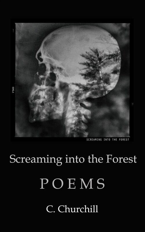 Screaming Into the Forest (Paperback)