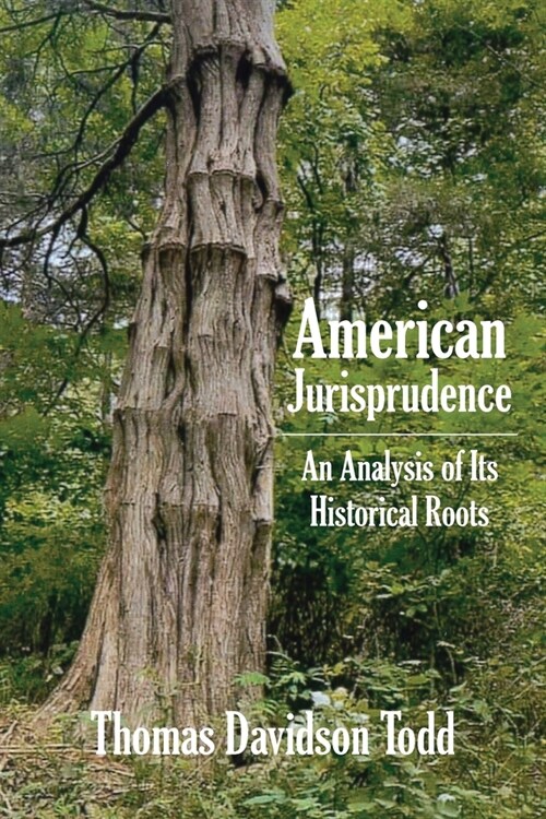 American Jurisprudence: An Analysis of Its Historical Roots (Paperback)