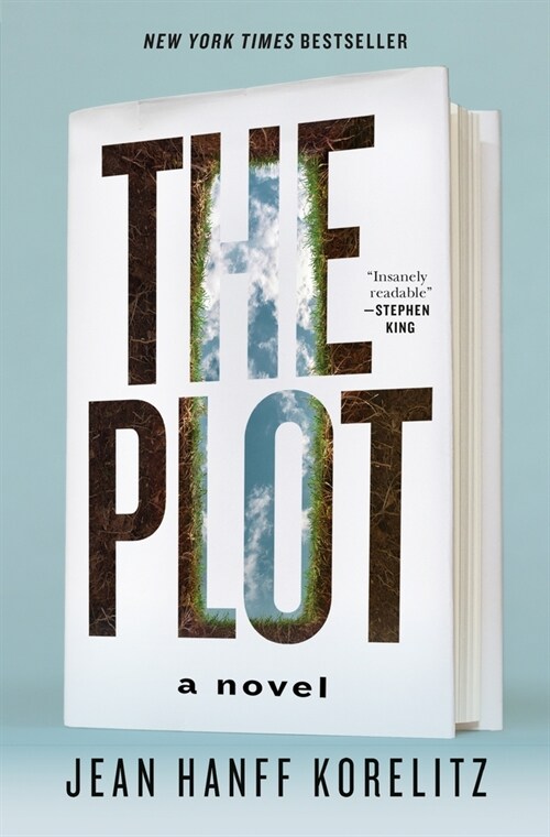 The Plot (Paperback)